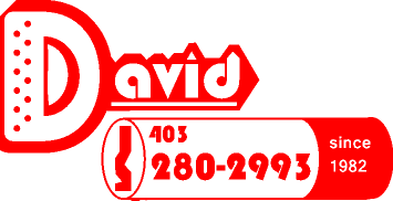 The David Locksmith badge: the D is a key bow with pin chambers inside it